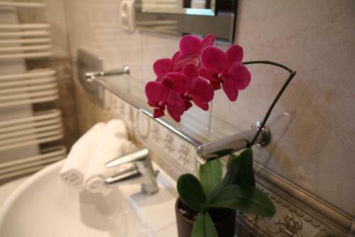 Hostal Apartamenty Velvet