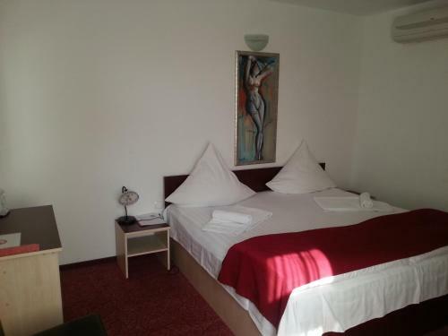 Hostal Pensiunea Pura Vida