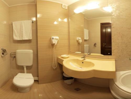 Hotel Dacia Sud