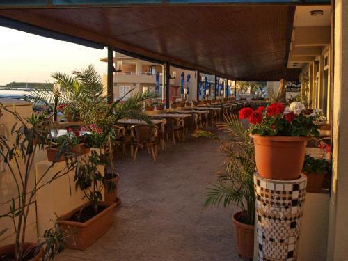Hotel Dacia Sud