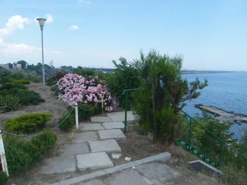 Villa Vila Lucian