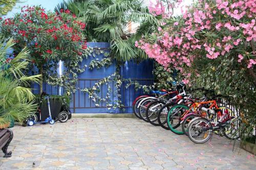 Hostal Lira Guest House