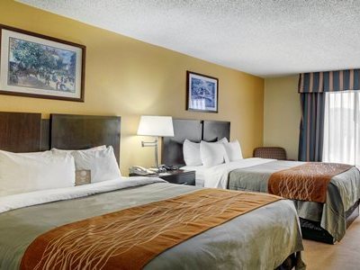 Hotel Comfort Inn Baton Rouge