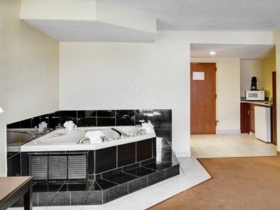 Hotel Comfort Inn Baton Rouge