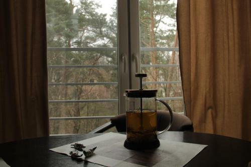Svetlogorsk Apartment