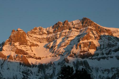 Chalet Silky