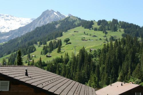 Chalet Silky