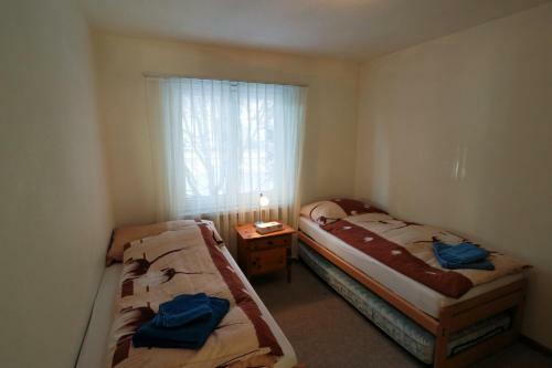 Apartamento Haus Pramalinis - Mosbacher