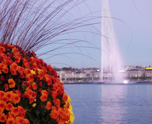 Aparthotel Fraser Suites Geneva