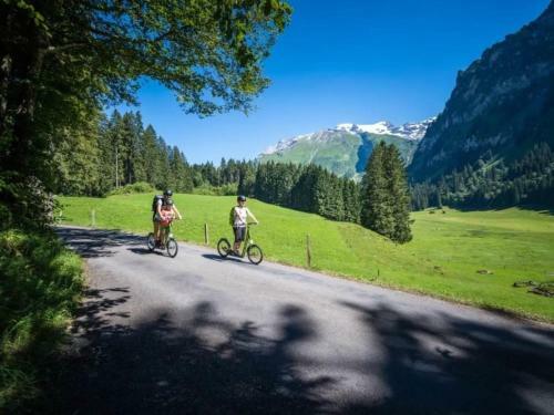 Apartment Titlis Resort Wohnung 604