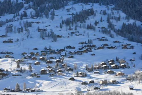 Hotel Du Sauvage Grindelwald