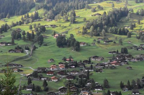 Hotel Du Sauvage Grindelwald