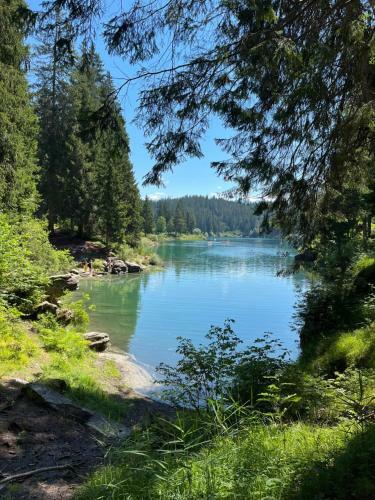 Laax Rancho Studio Apartment