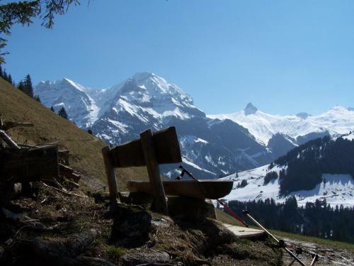Apartamentos Chalet Berggeist Adelboden Wohnung 1