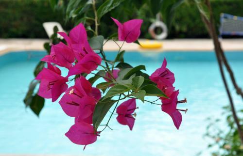 Tuncer Garden Hotel