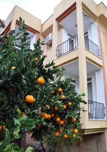 Tuncer Garden Hotel