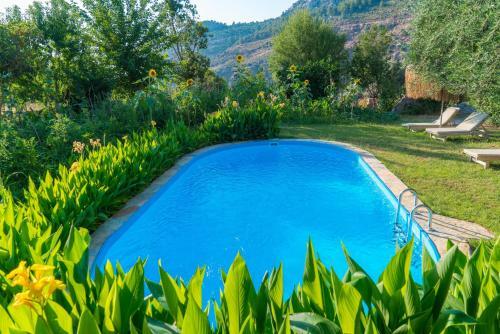 Pure Life Organic Villa