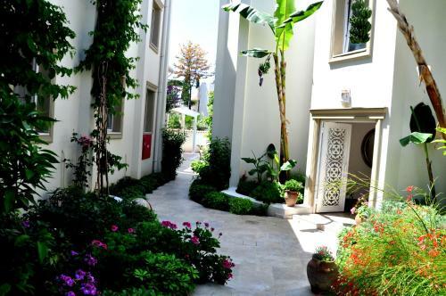 Olivias Group Hotel