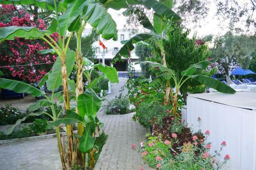 Ali Baba Hotel G�mbet