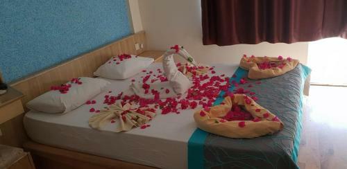 Golden Star Hotel