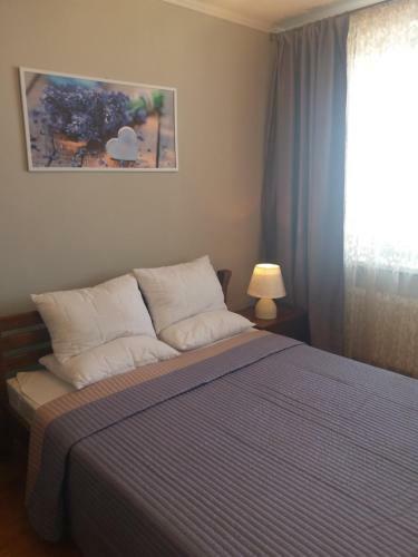 Apartment Park Pobedy