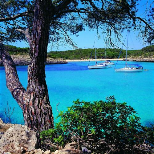 Apartamentos Cala D'or Playa