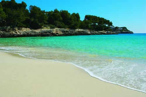Apartamentos Cala D'or Playa