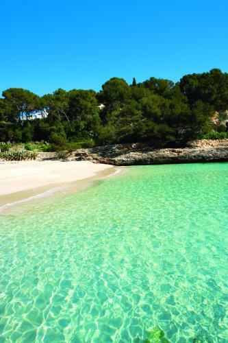 Apartamentos Cala D'or Playa