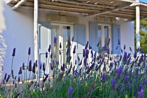 Hotel Masseria Montelauro