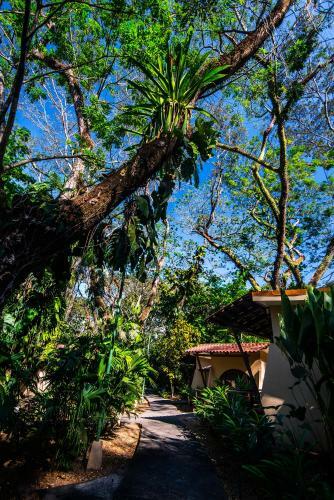 Hotel & Club Punta Leona
