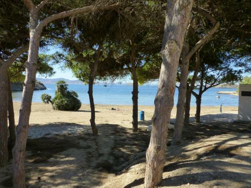 Apartamento Euromar Urbanizaci�n Botter