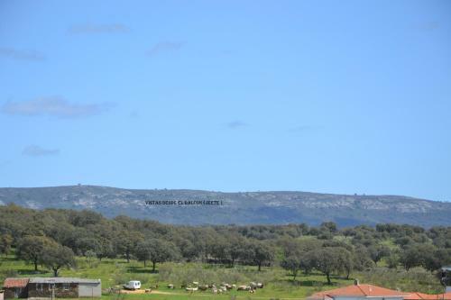 Apartamentos Rurales Natura