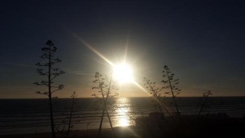 Hostal Brisas De Conil