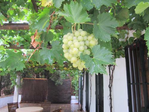 Agroturismo Casa Rural Fa�n Viejo