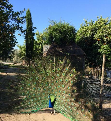 Agroturismo Casa Rural Fa�n Viejo
