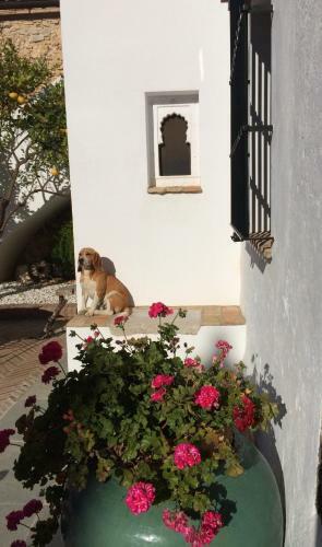 Agroturismo Casa Rural Fa�n Viejo