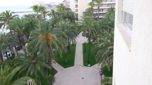 Apartamento Palmeral De Torrevieja