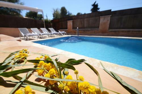 Villa 5 Oceanos