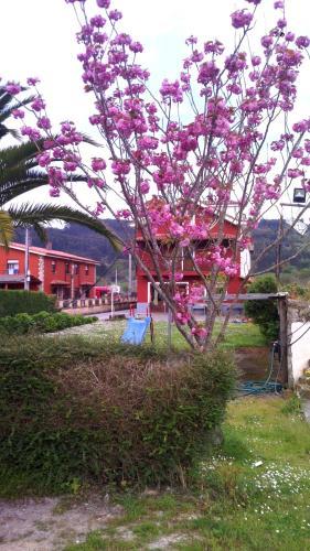 Hotel El Sueve