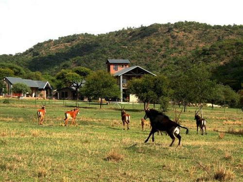 Arotin Game Lodge