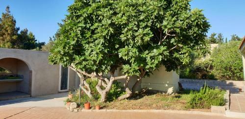 Bed & Breakfast Villa Renzo E Lucia