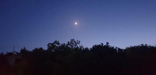 Bed & Breakfast Villa Renzo E Lucia
