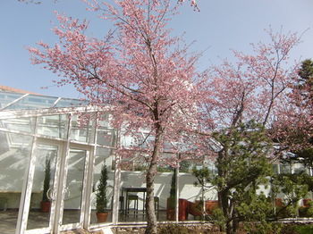 Best Western Hotel Sonnenbuehl