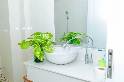 Song Huong Hotel