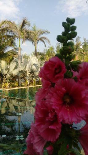 Hotel Full Moon Village