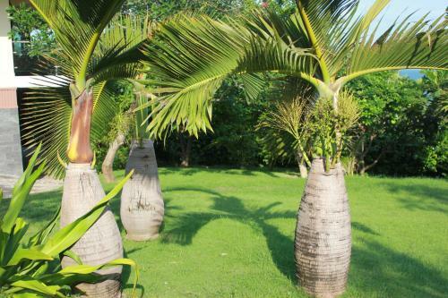 Hotel Takalau Residence & Resort
