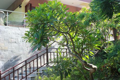 Hotel Takalau Residence & Resort
