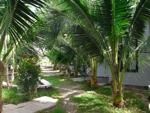 Villa Van Nguyen Minihouse