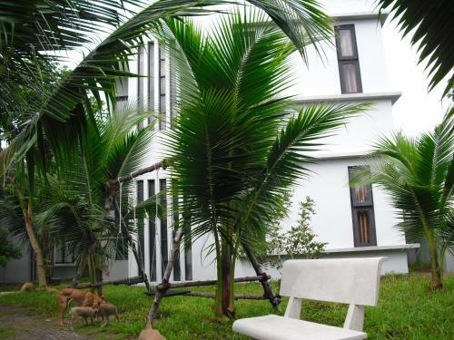 Villa Van Nguyen Minihouse