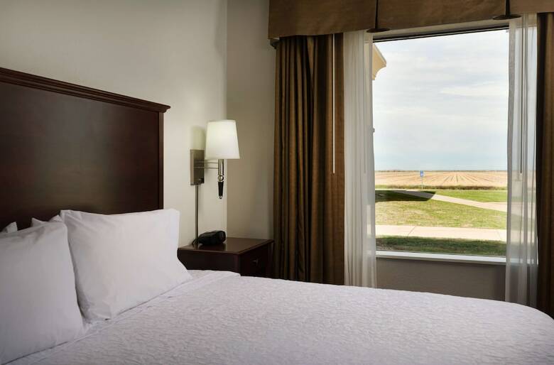 Hotel Hampton Inn & Suites Altus